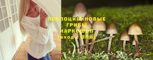 не бодяженный Аркадак