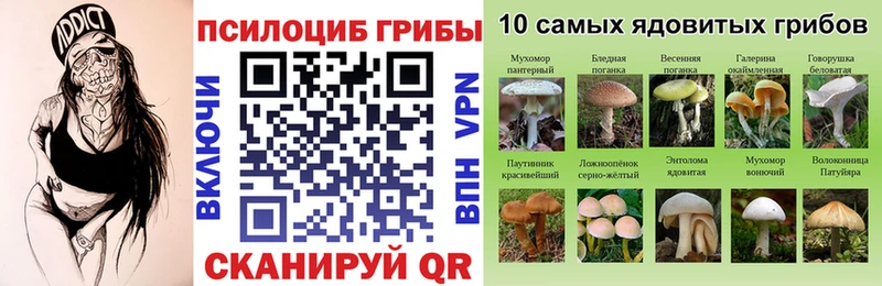 Псилоцибиновые грибы Psilocybe  Нурлат 